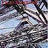 The Big Picture - CD